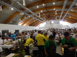 idosek-vilagnapja-2018