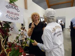 idosek-vilagnapja-2018