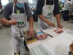 idosek-vilagnapja-2020