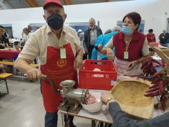 idosek-vilagnapja-2020