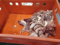 idosek-vilagnapja-2020