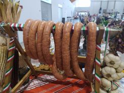 idosek-vilagnapja-2020