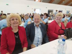 idosek-vilagnapja-2020