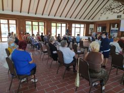 idosek-vilagnapja-2020