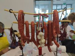 idosek-vilagnapja-2020