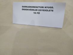 idosek-vilagnapja-2020