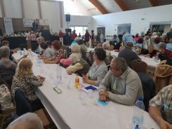 idosek-vilagnapja-2020