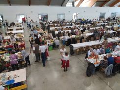 idosek-vilagnapja-2020