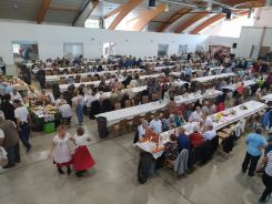 idosek-vilagnapja-2020