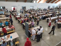 idosek-vilagnapja-2020