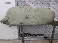 idosek-vilagnapja-2020