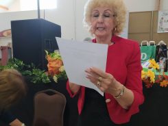 idosek-vilagnapja-2020