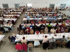 idosek-vilagnapja-2020