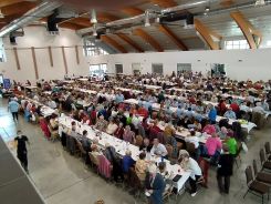 idosek-vilagnapja-2020