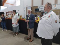 idosek-vilagnapja-2020