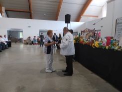 idosek-vilagnapja-2020