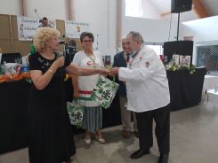 idosek-vilagnapja-2020