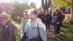 tudogyulladas-vilagnapja-2016