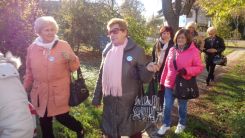 tudogyulladas-vilagnapja-2016