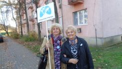 tudogyulladas-vilagnapja-2016