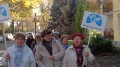 tudogyulladas-vilagnapja-2016